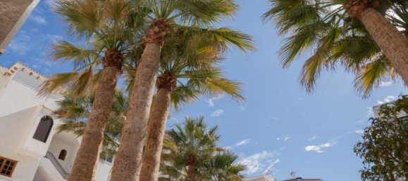 1 chambre Appartement à Alicante, Spain No. 181771 24