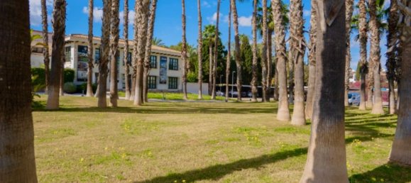 1 chambre Appartement à Alicante, Spain No. 181771 27