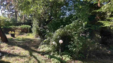  Land in Liesing, Austria No. 253119