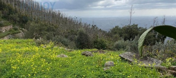 قطعة أرض في Monchique, Portugal 120000متر مربع رقم 83256 2