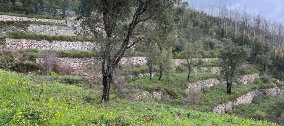 قطعة أرض في Monchique, Portugal 120000متر مربع رقم 83256 5