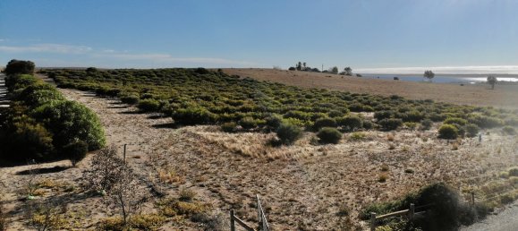 Terreno en Streaky Bay, Australia 41300 m² No. 997 3