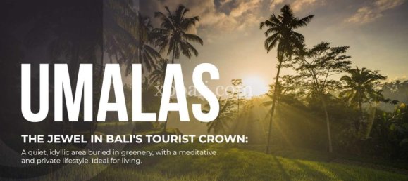 1 bedroom Apartment in Tampaksiring, Indonesia No. 4088 6