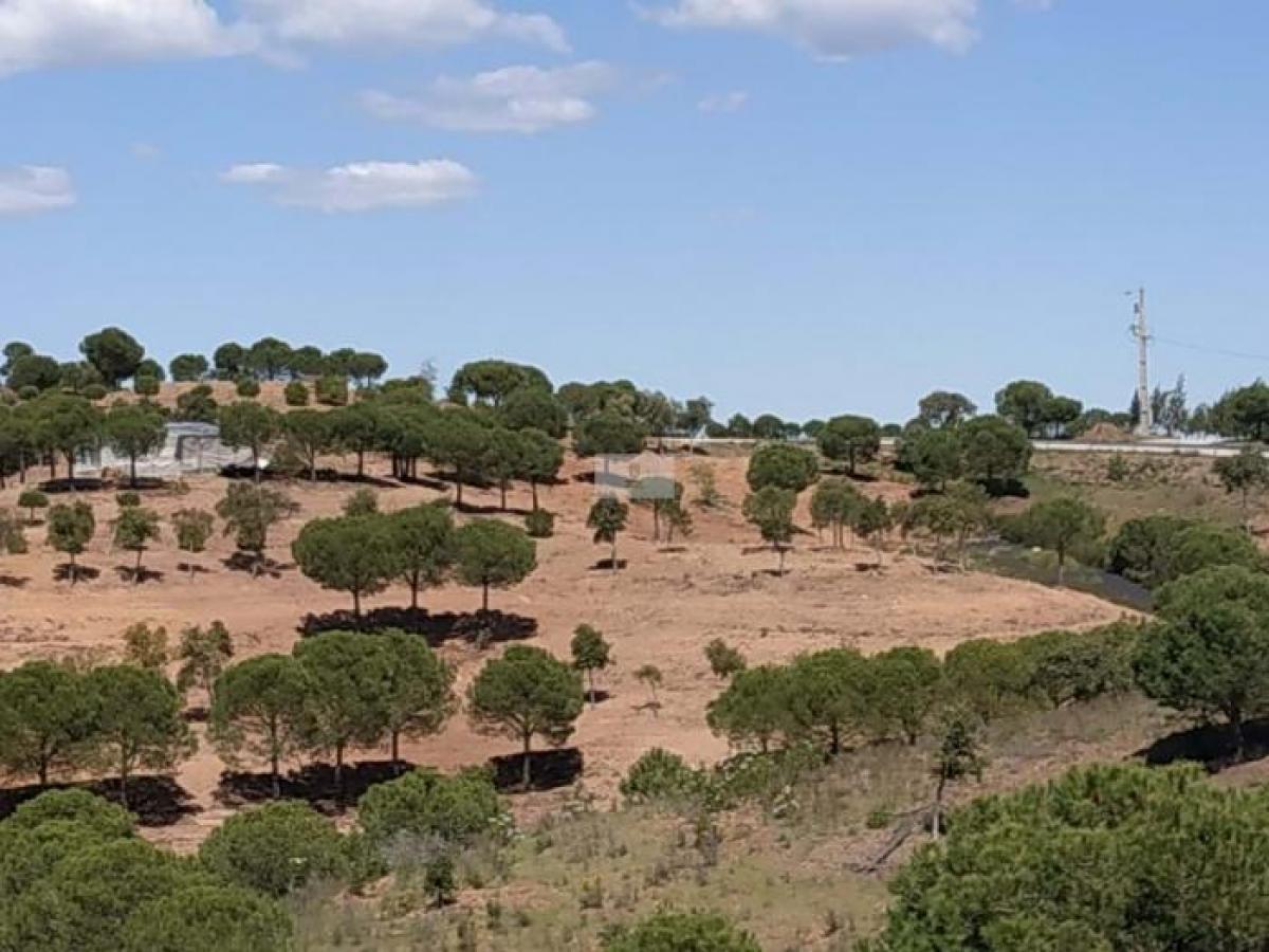 61280m² Land in Castro Marim, Portugal No. 2126