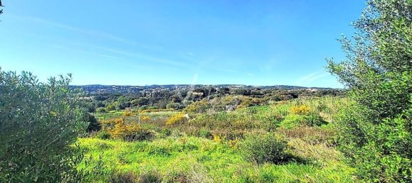 قطعة أرض في Cadiz, Spain 2690متر مربع رقم 29379 13