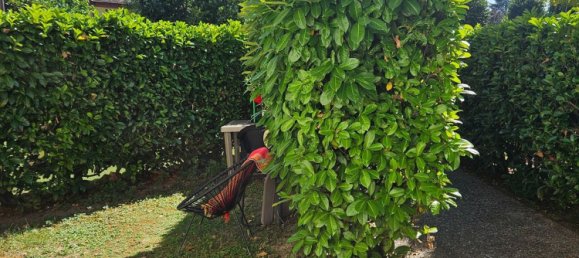 2غرفة شقة في Rivanazzano Terme, Italy رقم 286224 23