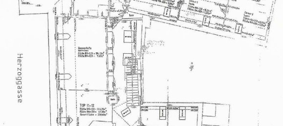 5 rooms Apartment in Modling, Austria No. 83803 9