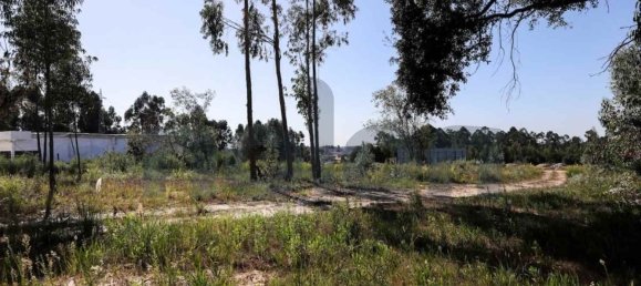 Grundstück in Rio Meao, Portugal 2593m², Nr. 95387 6