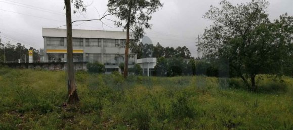 Grundstück in Rio Meao, Portugal 2593m², Nr. 95387 11