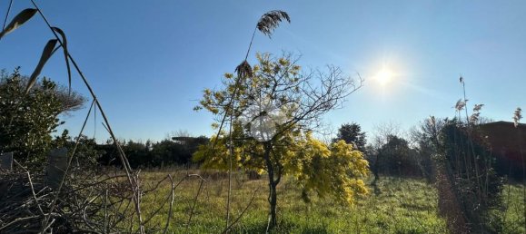  قطعة أرض في Rome, Italy 1060متر مربع رقم 79142 6