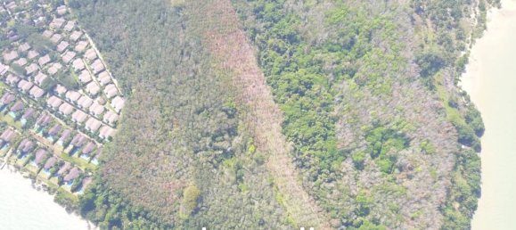  Commercial property in Ko Kaeo, Thailand No. 19087 3