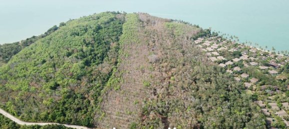  Commercial property in Ko Kaeo, Thailand No. 19087 2