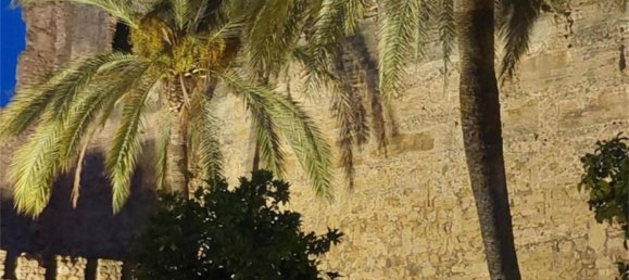 Terrain à Marbella, Spain No. 136517 4