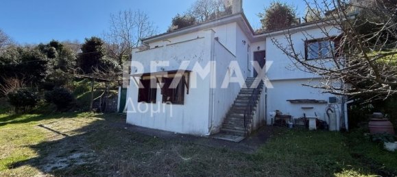 3 Schlafzimmer Gebäude in Mouresi, Greece, Nr. 78268 14