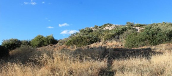  فندق في Saronida, Greece 610متر مربع رقم 7508 3