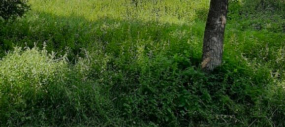 Terreno em Cochem-Zell, Germany N.º 258697 4