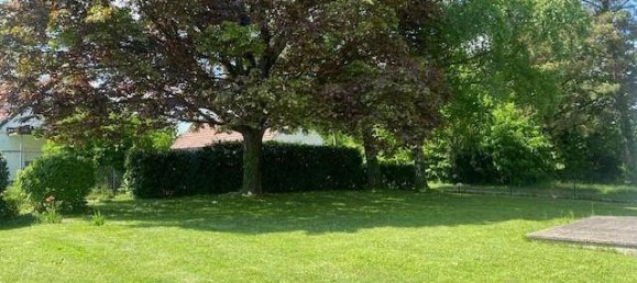 6-Zimmer Haus in Oberwart, Austria, Nr. 220856 3