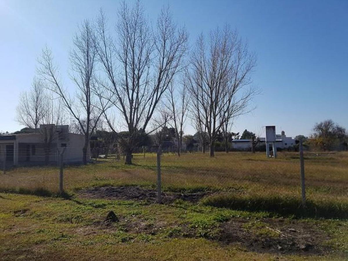  Land in Campo Creado, Argentina No. 115432