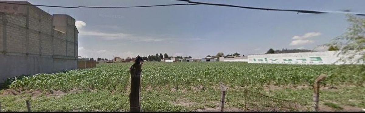  Land in Mexico No. 203977