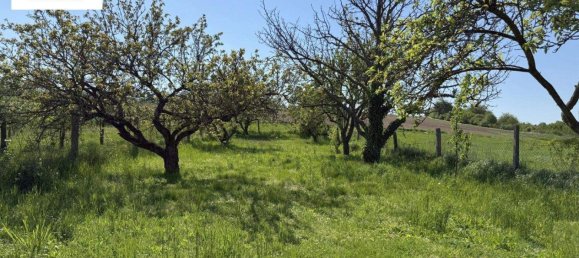 4 rooms House in Hochleithen, Austria No. 143932 6