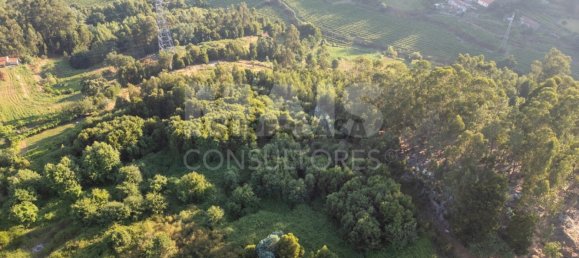  Land in Penafiel, Portugal No. 287523 7