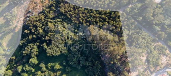  Land in Penafiel, Portugal No. 287523 3