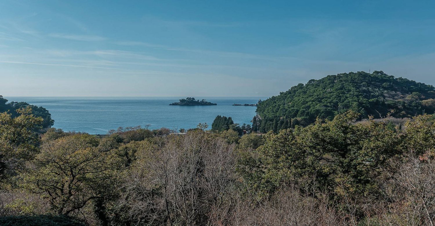 19 bedrooms Townhouse in Budva, Montenegro No. 226