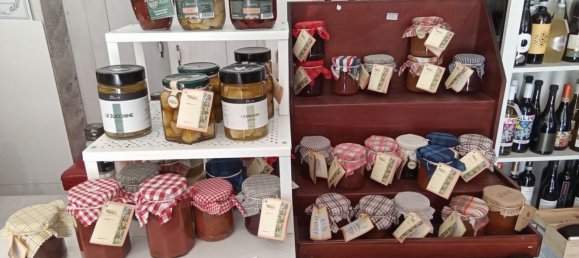 42m² Commercial property in Cattolica, Italy No. 16098 3