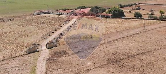 7 chambres Maison à Serpa, Portugal No. 38979 14