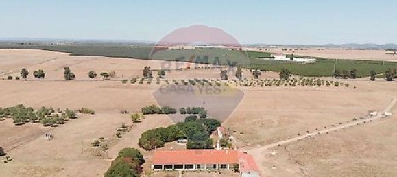 7 chambres Maison à Serpa, Portugal No. 38979 5