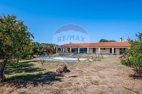 7 chambres Maison à Serpa, Portugal No. 38979