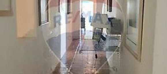 7 chambres Maison à Serpa, Portugal No. 38979 45