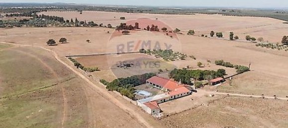 7 chambres Maison à Serpa, Portugal No. 38979 3