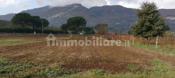 4 bedrooms Villa in Presenzano, Italy No. 301300 6