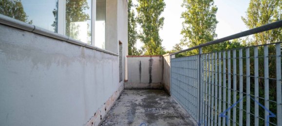 5 rooms Warehouse in Rimini, Italy No. 259944 25