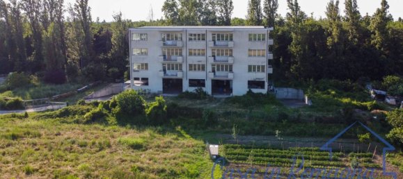 5 rooms Warehouse in Rimini, Italy No. 259944 13