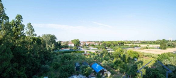 5 rooms Warehouse in Rimini, Italy No. 259944 24