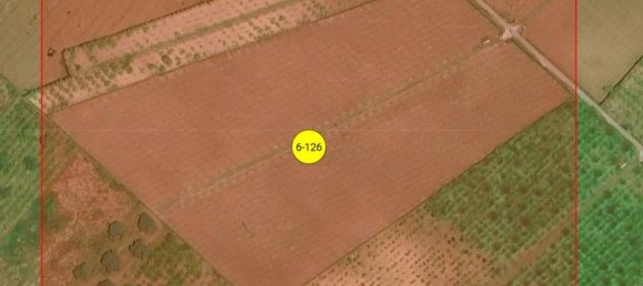 Grundstück in Gioia Tauro, Italy 35580m², Nr. 301499 3