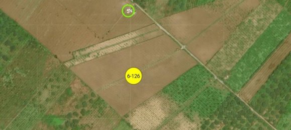 Grundstück in Gioia Tauro, Italy 35580m², Nr. 301499 5