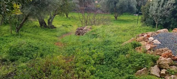 Casa T3 em Almancil, Portugal N.º 94353 10