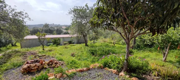 Casa T3 em Almancil, Portugal N.º 94353 24