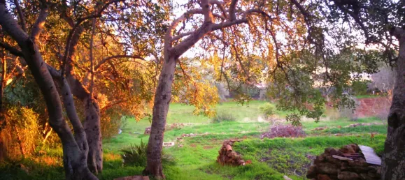 Casa T3 em Almancil, Portugal N.º 94353 7