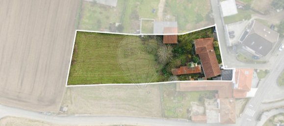 4 chambres Maison à Pereira, Portugal No. 175887 13