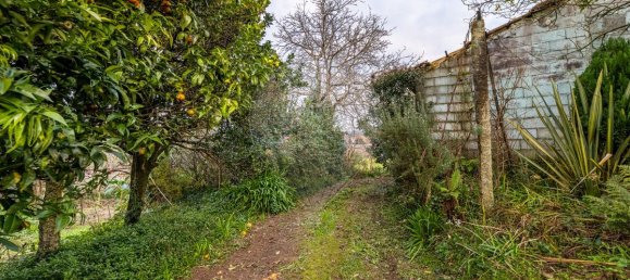 4 chambres Maison à Pereira, Portugal No. 175887 22