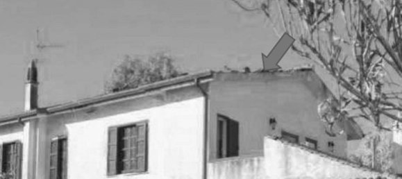 6 rooms Apartment in San Felice Circeo, Italy No. 98623 26