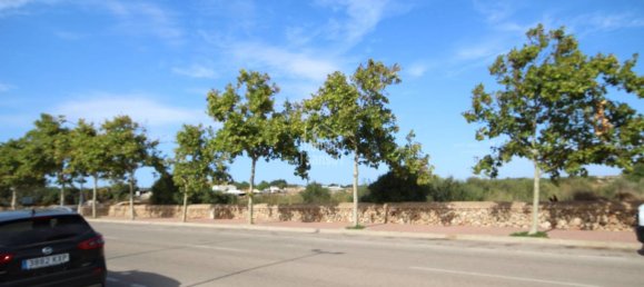  Land in Ciutadella De Menorca, Spain No. 3870 2