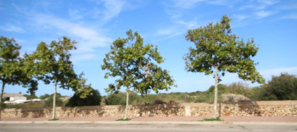  Land in Ciutadella De Menorca, Spain No. 3870 6