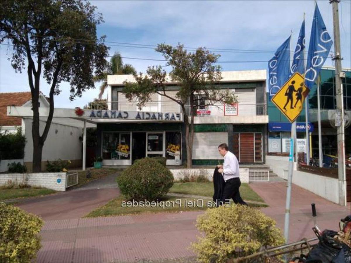 5 bedrooms House in Montevideo, Uruguay No. 9079