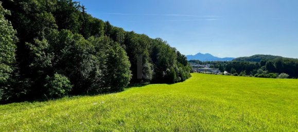 Grundstück in Salzburg, Austria 10100m², Nr. 197122 3