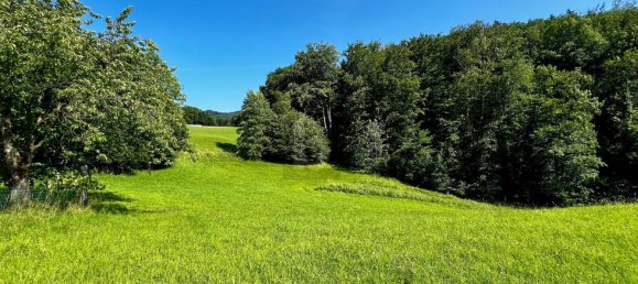 Grundstück in Salzburg, Austria 10100m², Nr. 197122 4